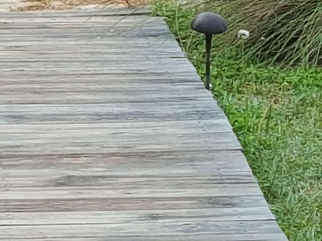 Wellspring Retreat Bed & Breakfast Round Top主图