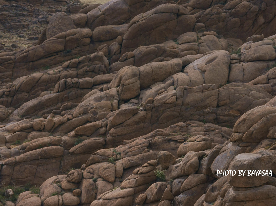 Gobi Gurvansaikhan National Park旅游攻略图片