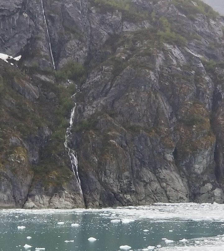 Glacier Bay National Park Visitor Center-古斯塔夫斯必去景点