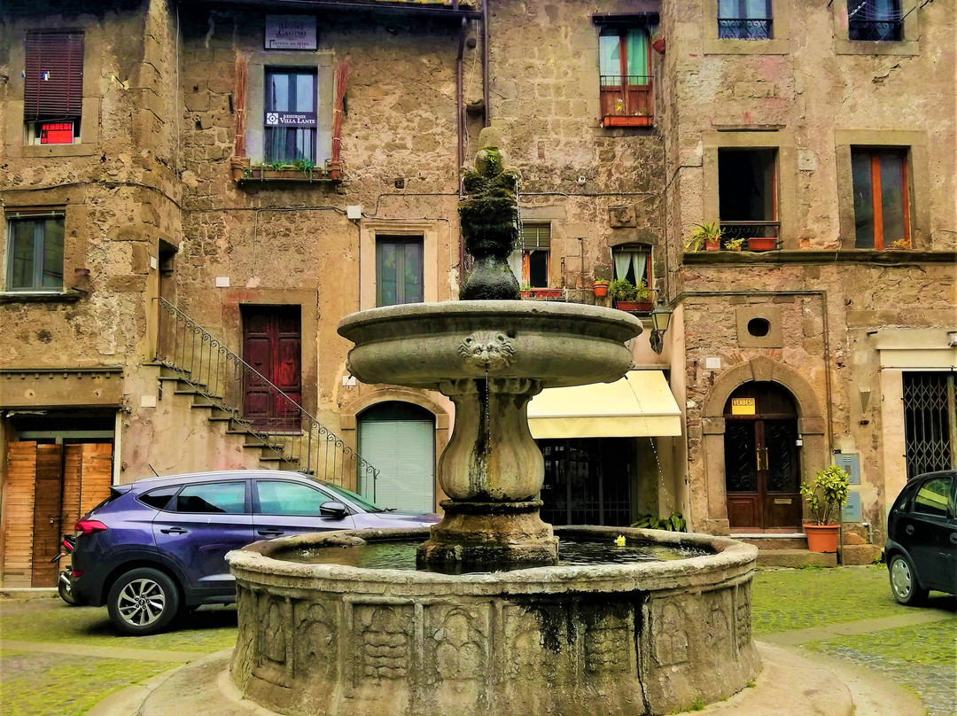 Fontana del Borgo Dentro景点图片