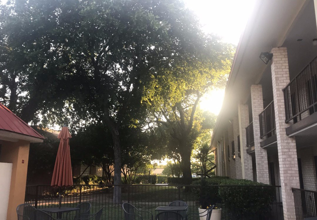 Red Roof Plus Dallas - Addison主图