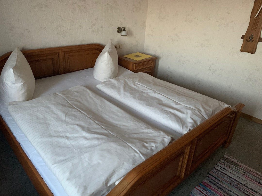 Hotel Zum Schiffchen主图