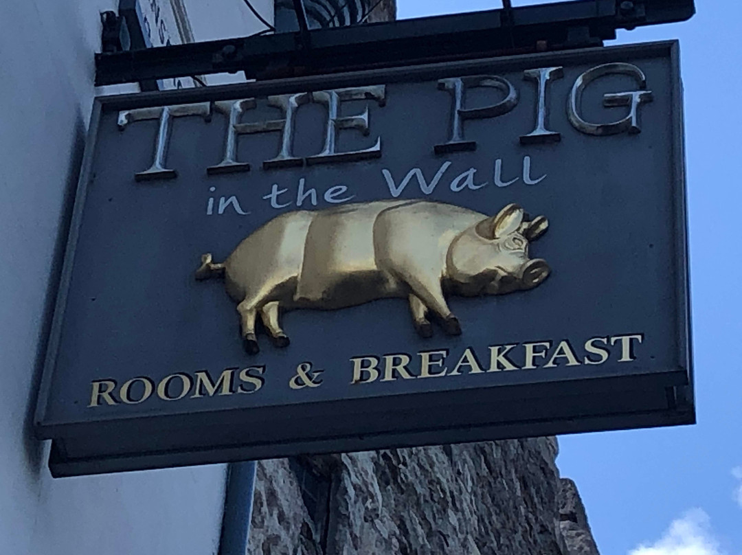 THE PIG-in the Wall主图