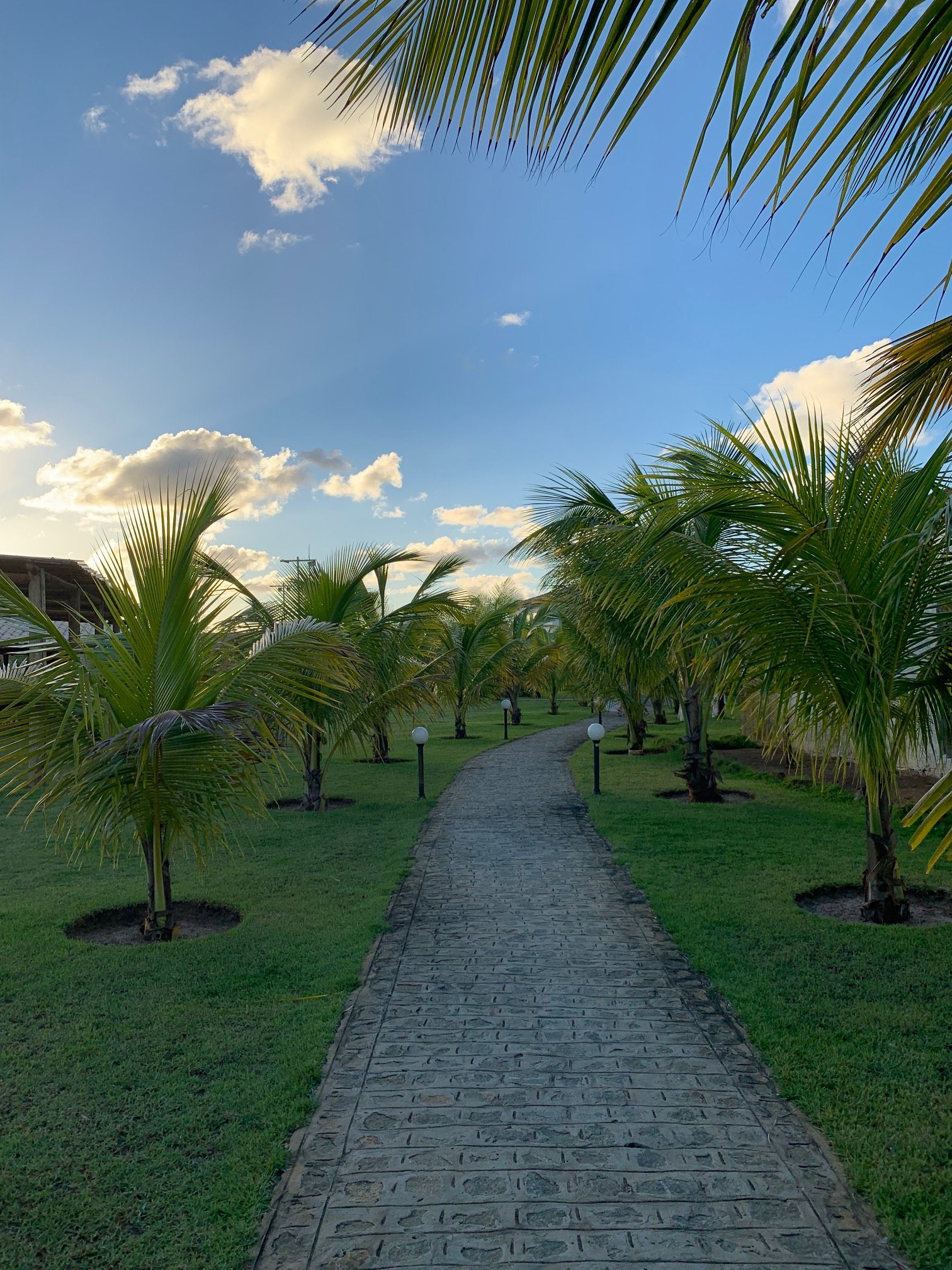 Tree Bies Resort-浴室