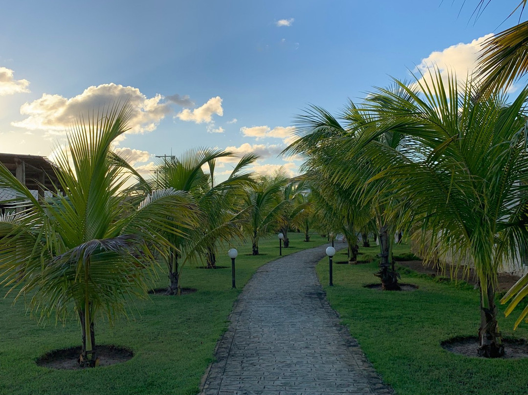 Tree Bies Resort主图