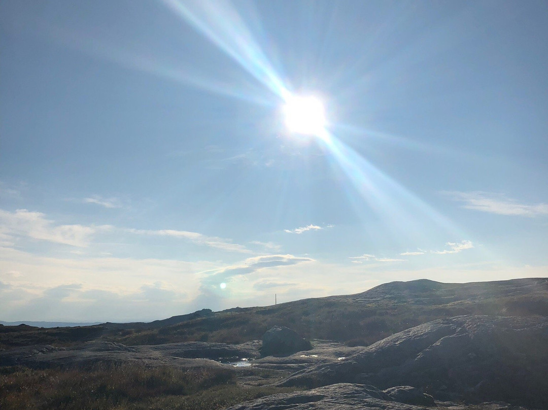 Vidden Trail between Mt. Fløyen and Mt. Ulriken景点图片