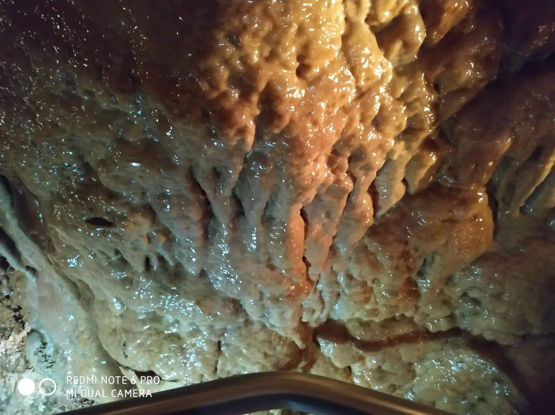Cave Balcarka-Ostrov u Macochy必去景点