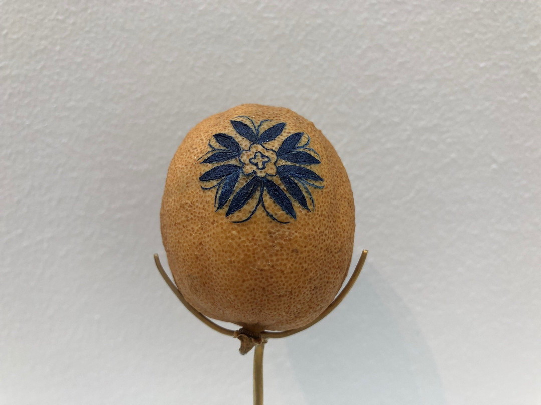 MCA Denver-丹佛必去景点