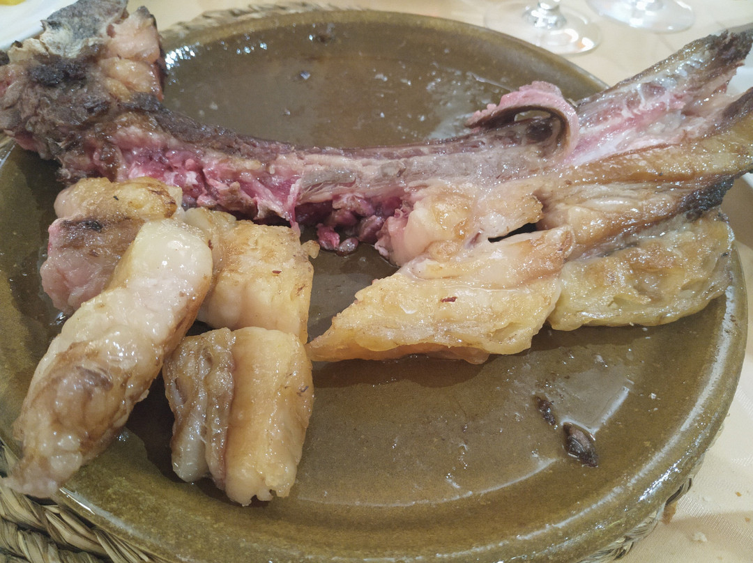 Hostal Los Olmos主图