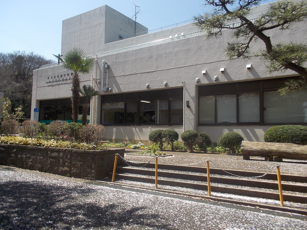 Ichikawa City History Museum