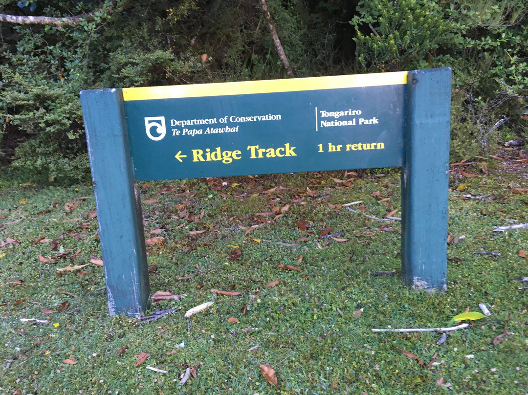 Ridge Track景点图片