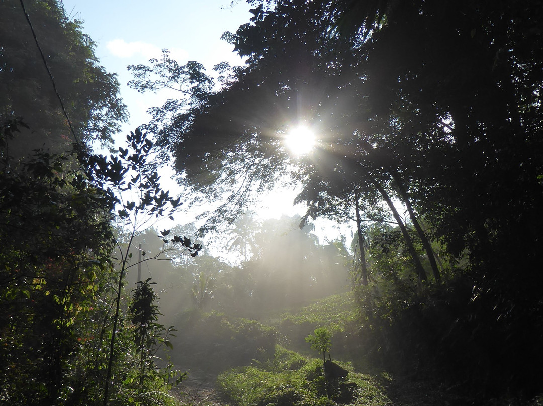 Yattapatha旅游攻略图片