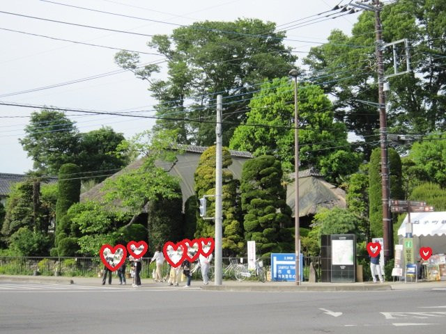 Higeta Aizome Kobo-益子町必去景点