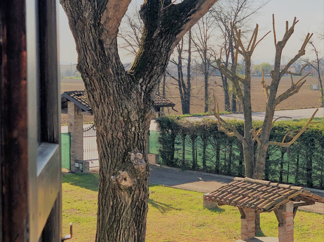 Il Contado -room and breakfast-主图