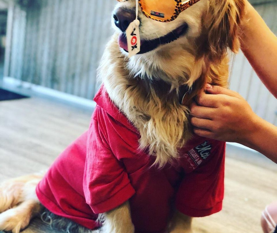 Moors Resort & Marina on Kentucky Lake主图