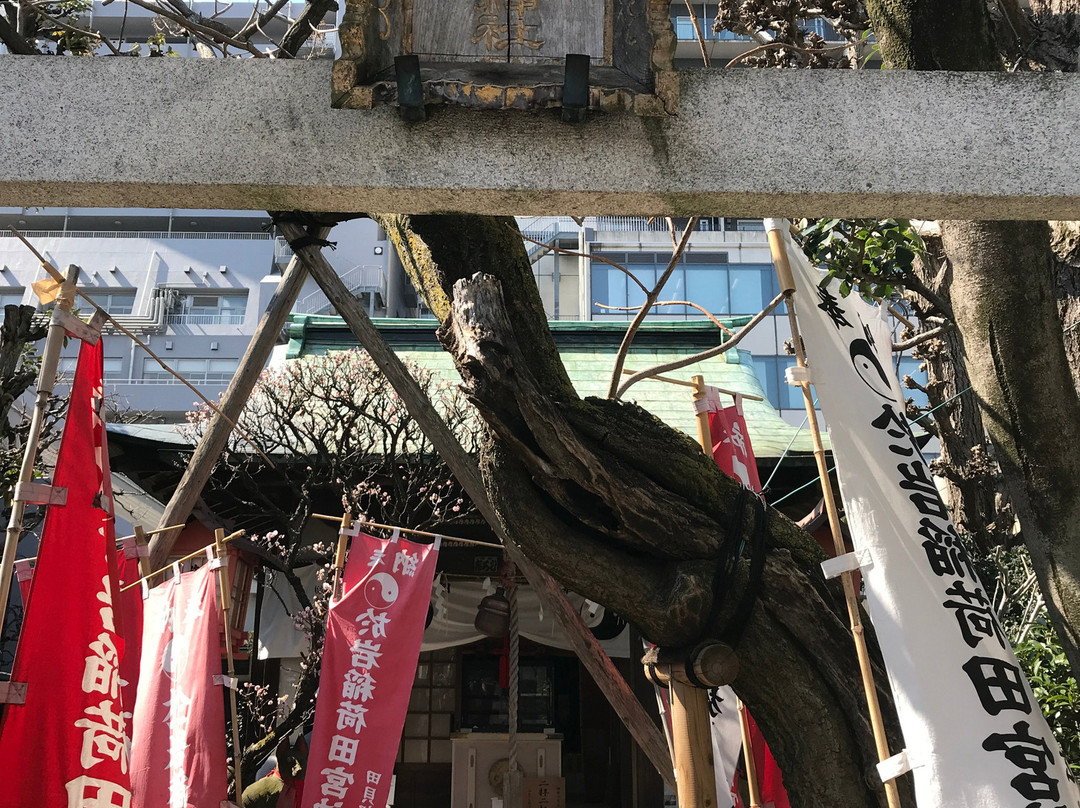 Yotsuya Oiwainari Tamiya Shrine-新宿区必去景点