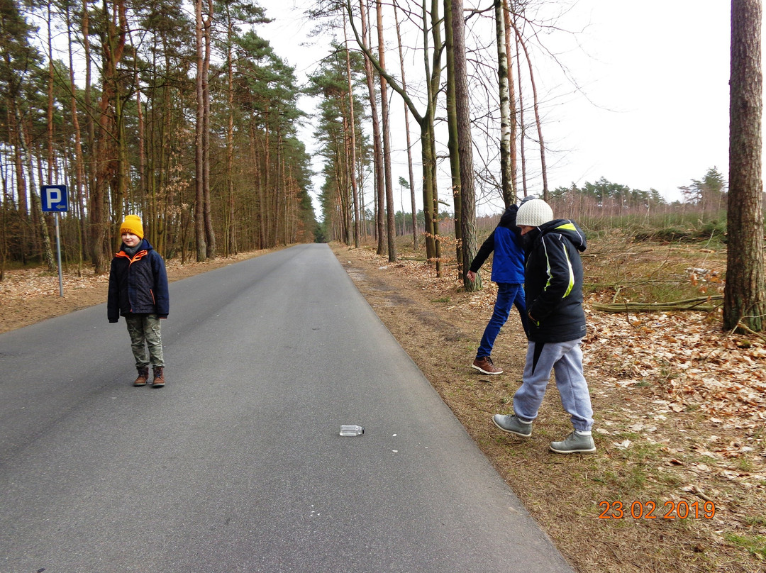 Czarnkow旅游攻略图片