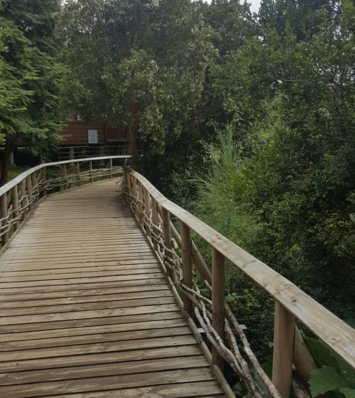 Turismo Pehuen-Castro必去景点