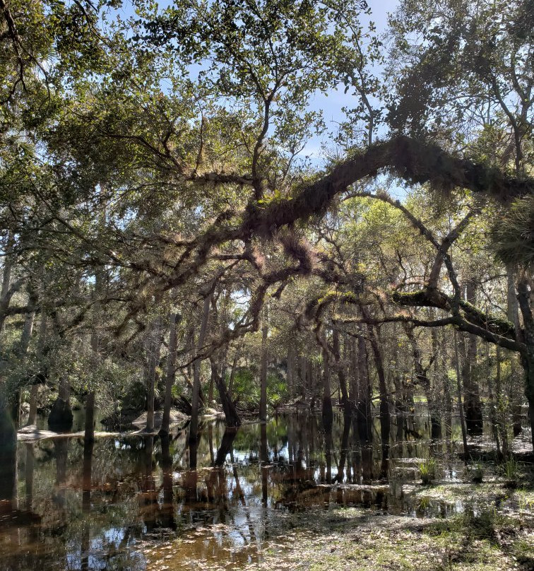 Econ River Wilderness Area-Oviedo必去景点