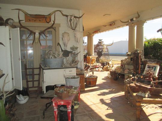 Cheshire Cat Antiques-Alpine必去景点