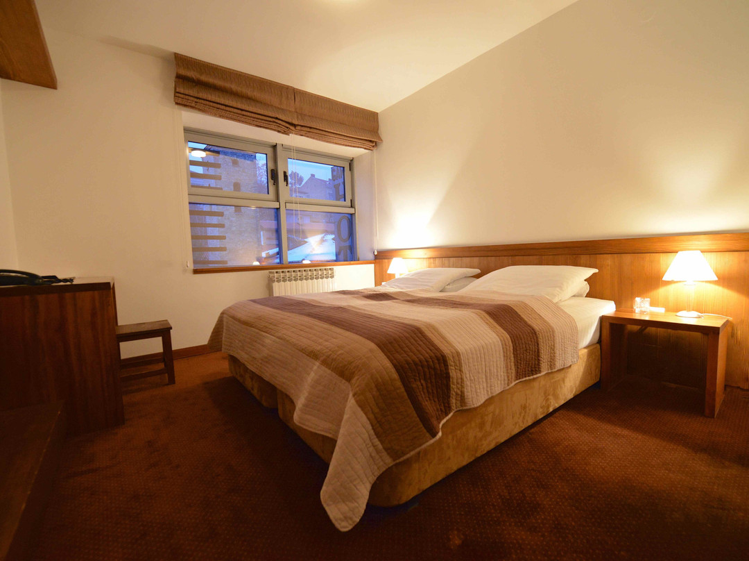 Garni Hotel Konak主图