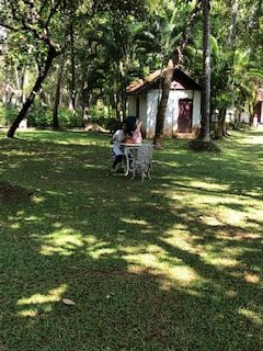 乌龟海滩阿瓦德酒店主图