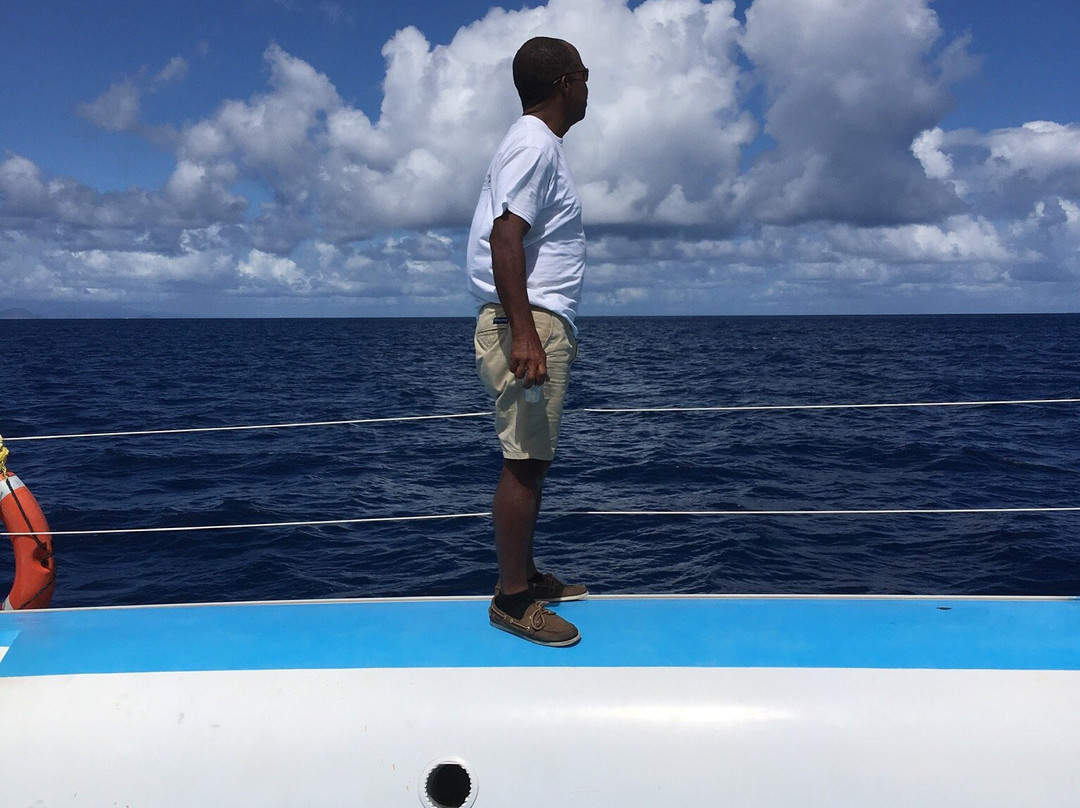 Anchorage Hotel Whale Watching-罗索必去景点