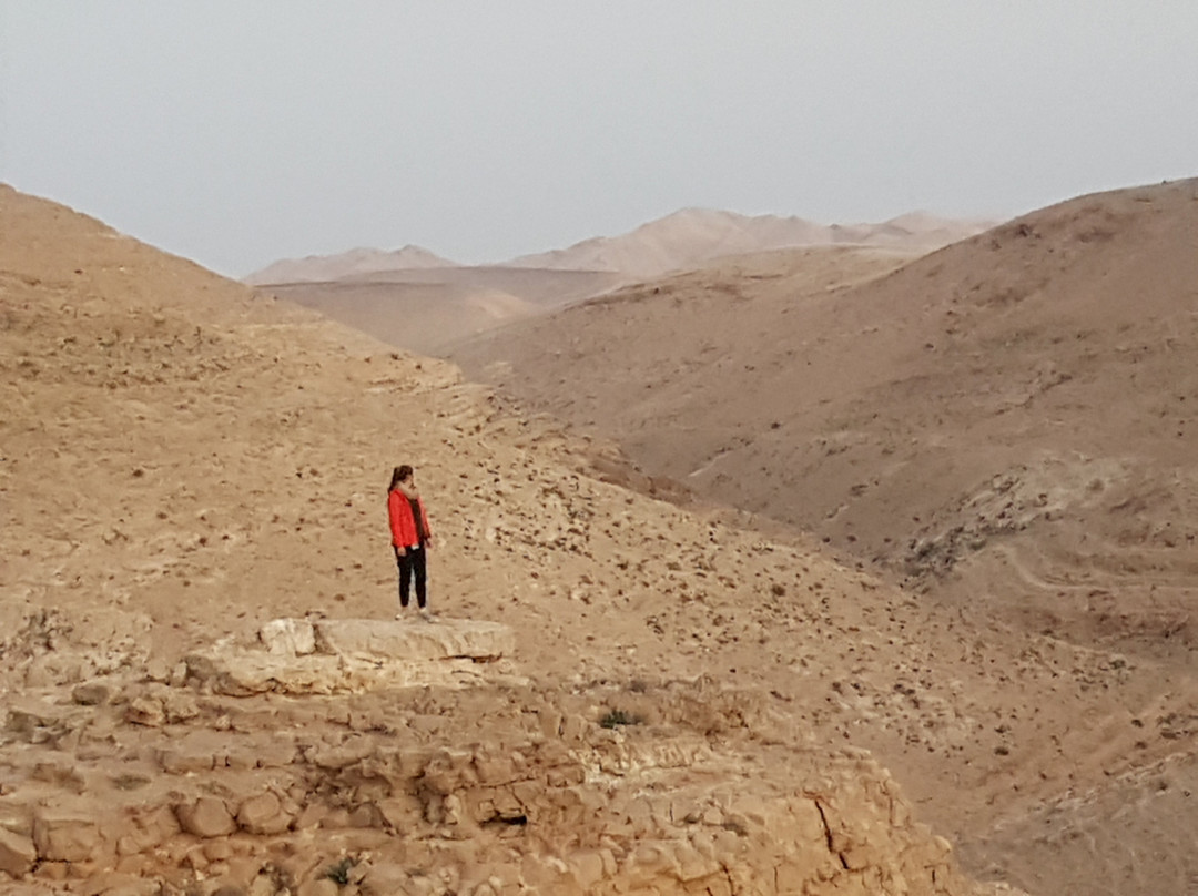 Wild - Trails Israel-Arad必去景点