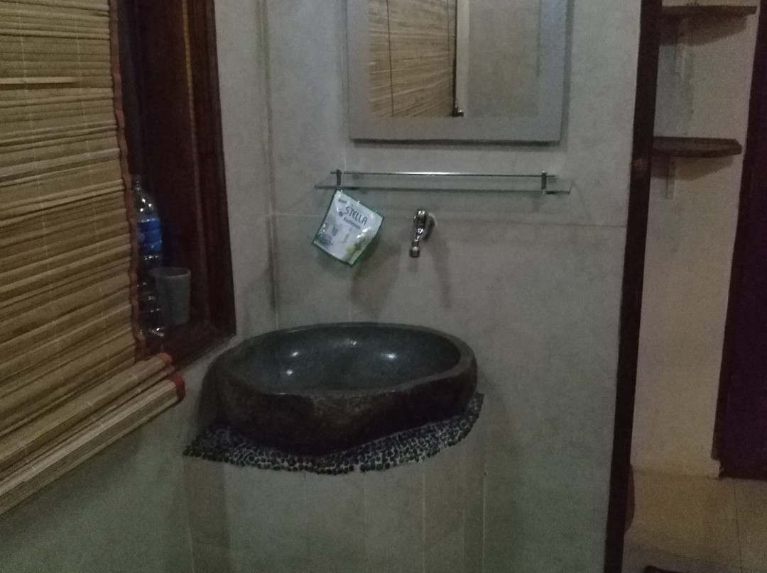 Hotel Orangutan主图