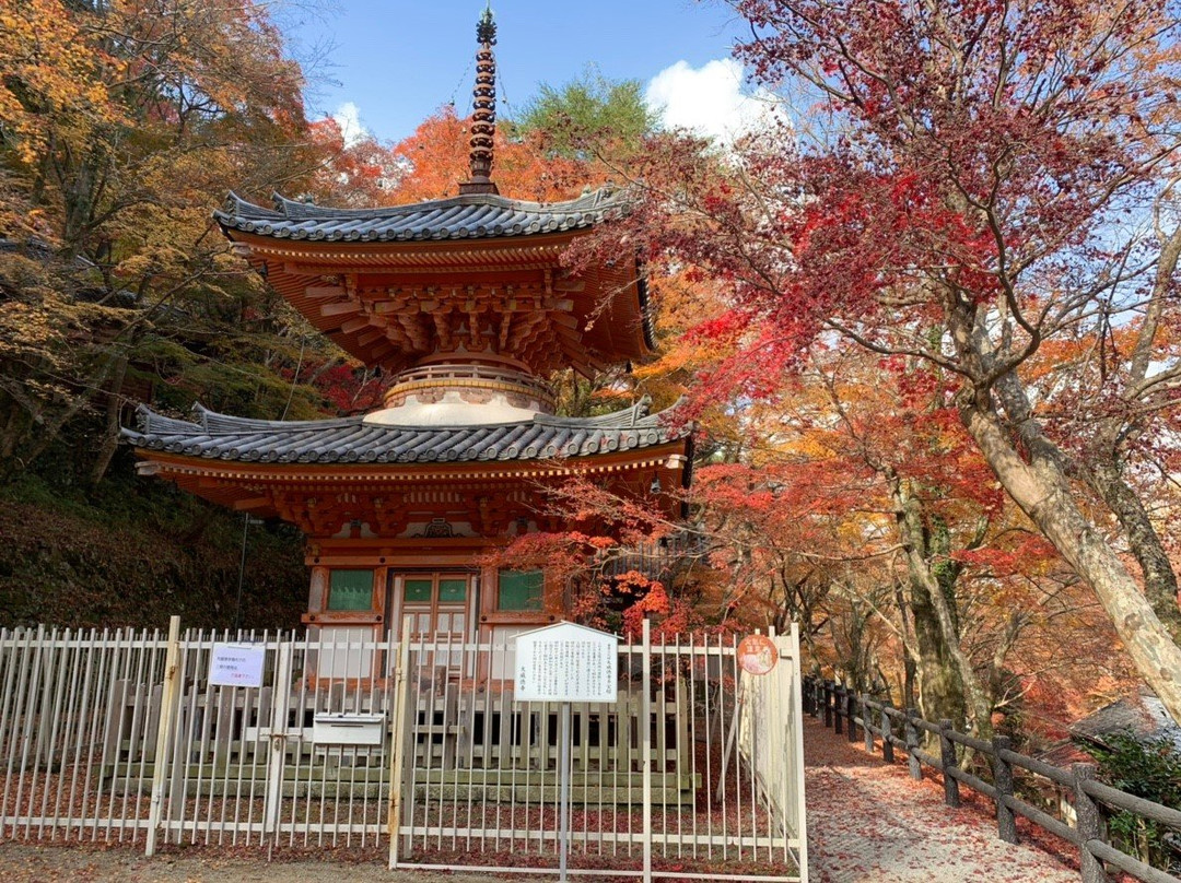 Daiitokuji Temple景点图片