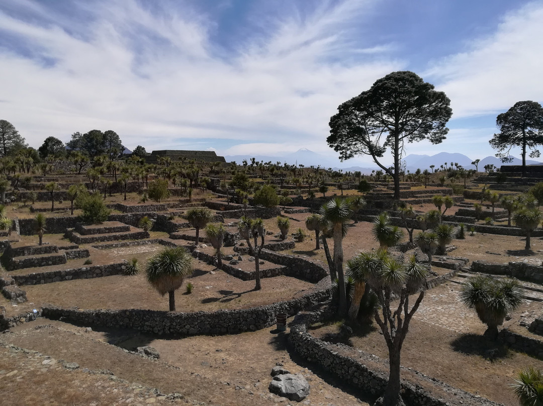 Zona Arqueológica de Cantona景点图片