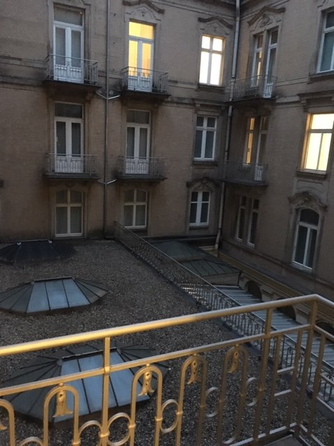 Radisson Blu Schwarzer Bock Hotel Wiesbaden-酒店景观