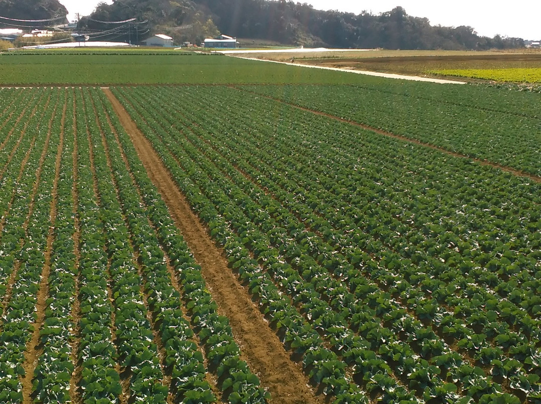 Mt. Iwado-三浦市必去景点