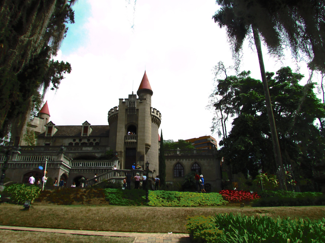 城堡博物馆和花园景点图片