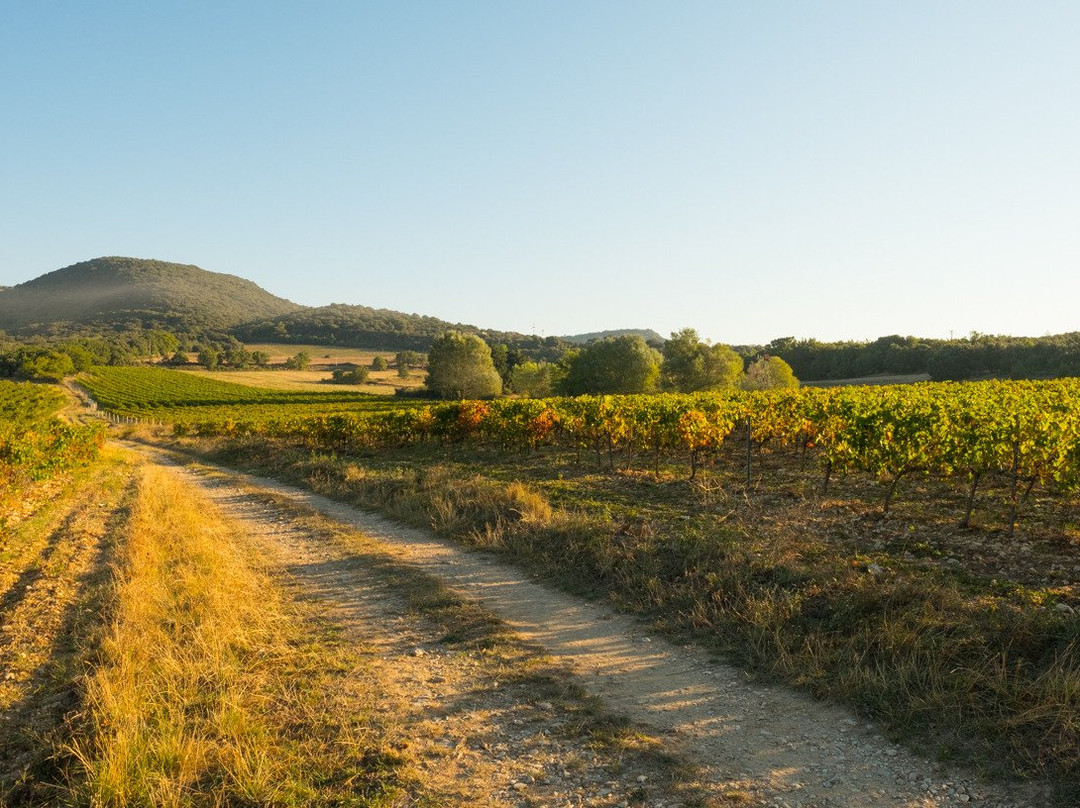 Domaine De Grangeneuve景点图片