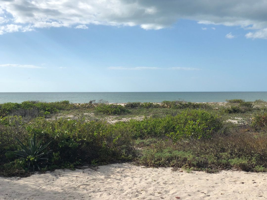 Xixim Mundo Imperial主图