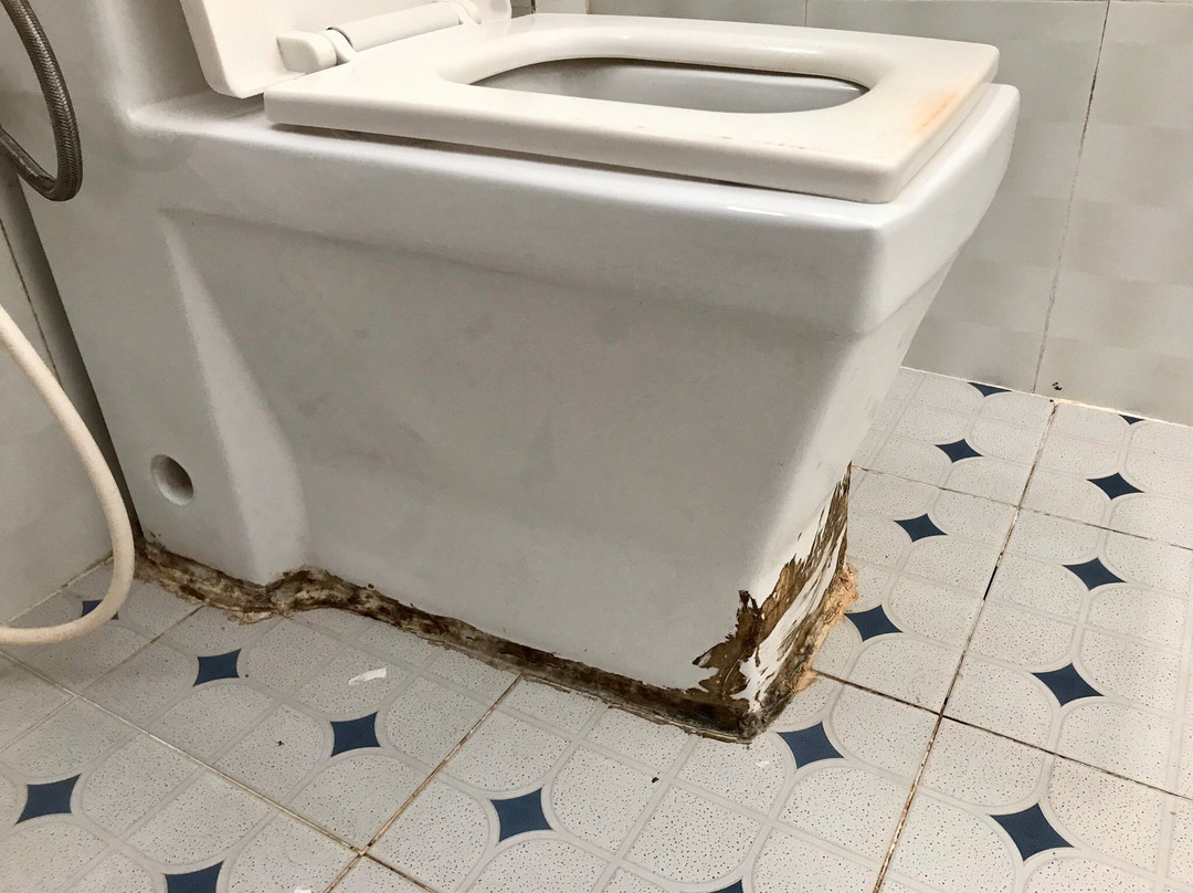 金河简易别墅主图