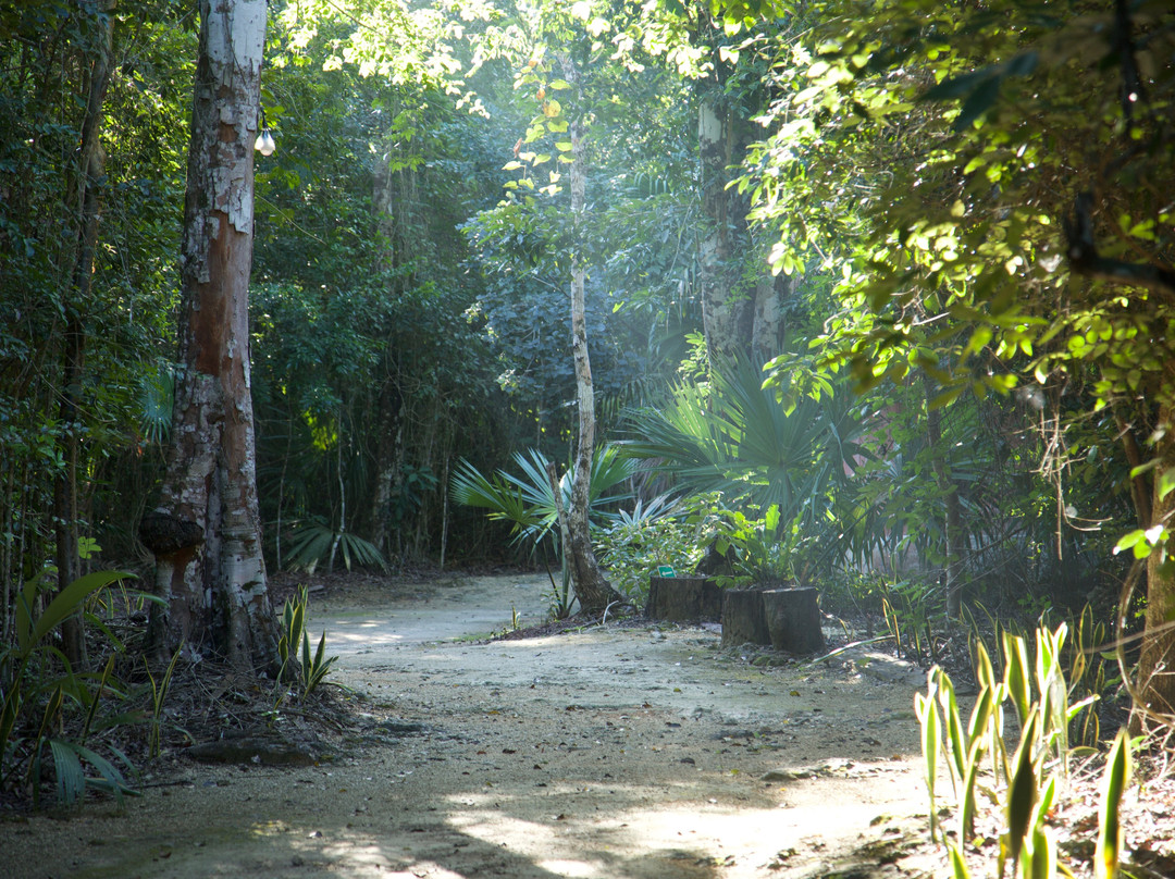 Jolie Jungle Eco Hotel主图