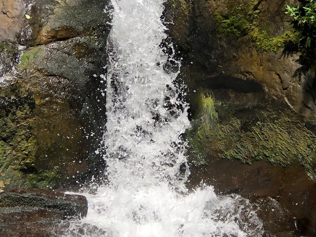 Cataratas Bribri Talamanca景点图片