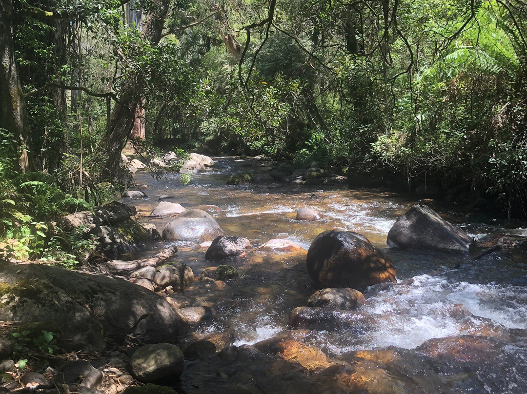 Mirimbah Park-Mirimbah必去景点