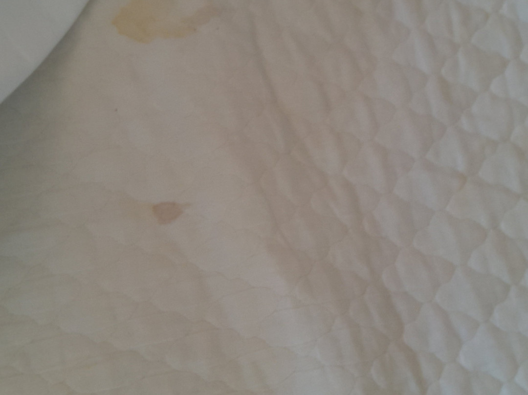 索奈科斯贵宾酒店主图