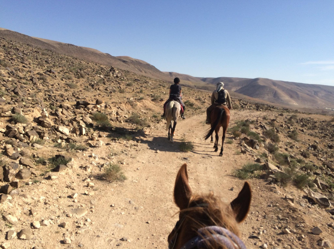 A Piece of Jordan-佩特拉必去景点