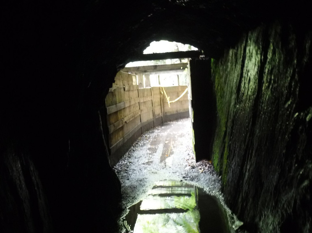 塔塔雷隧道探险景点图片