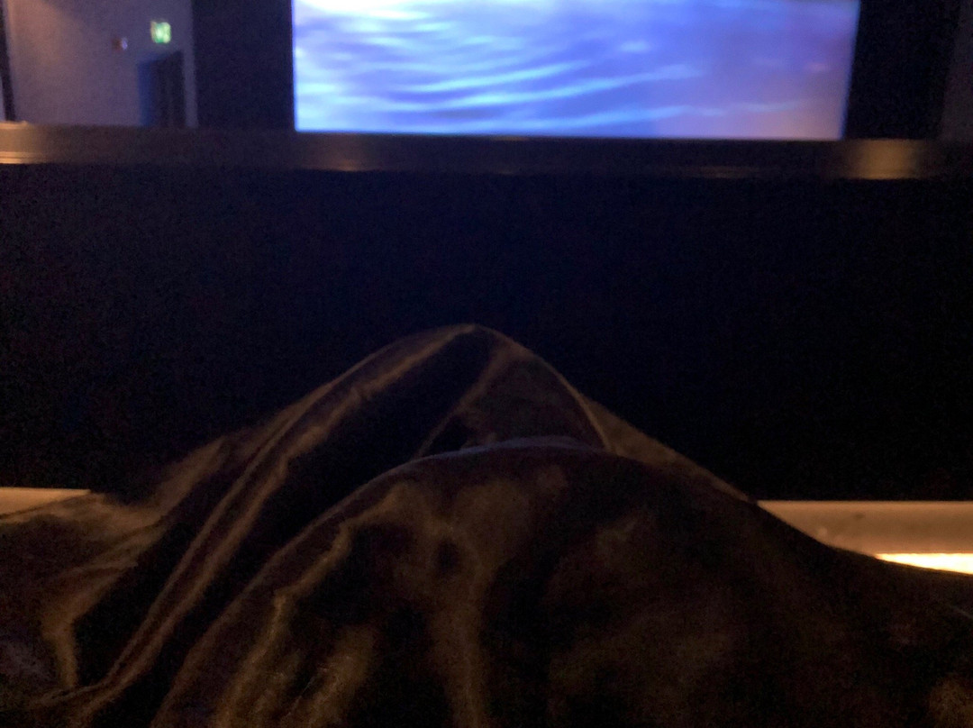 VOX Cinemas - The Avenues Kuwait-Farwaniya必去景点