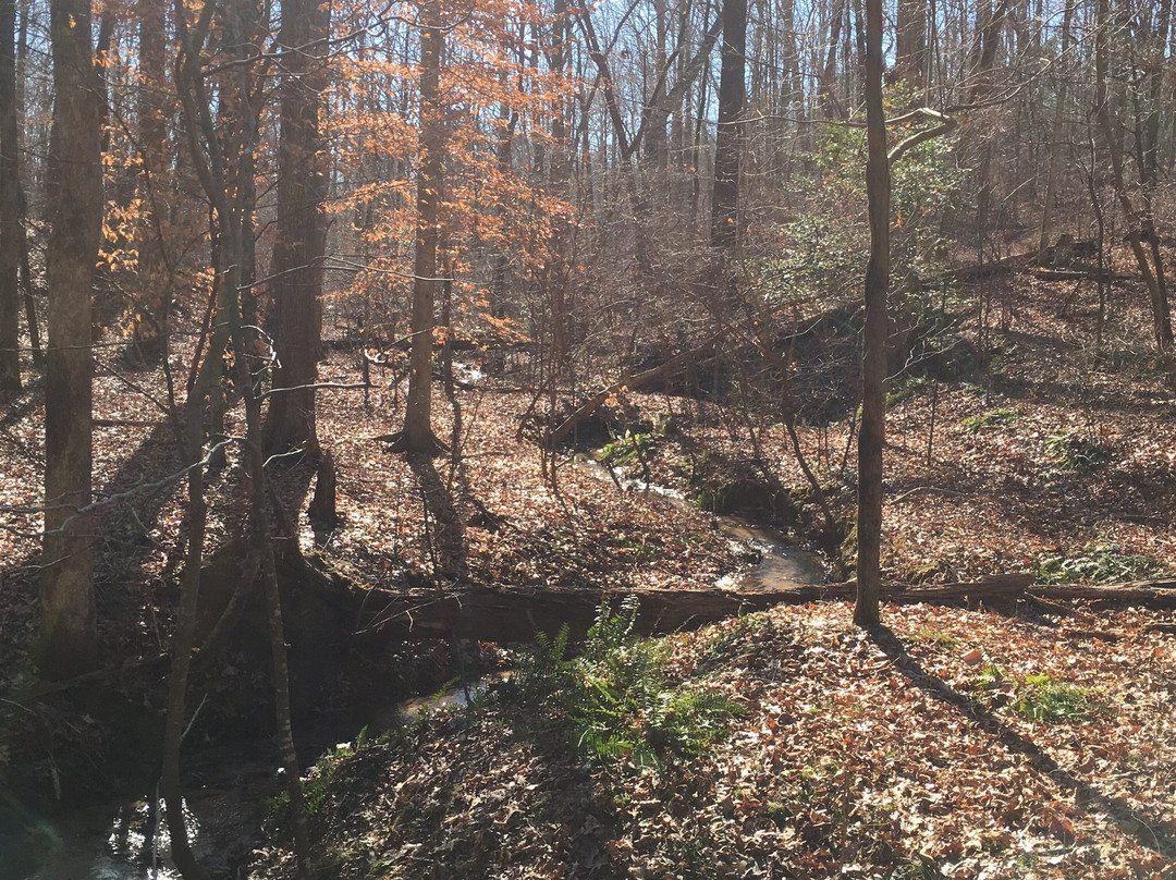 Harbins Park-Dacula必去景点
