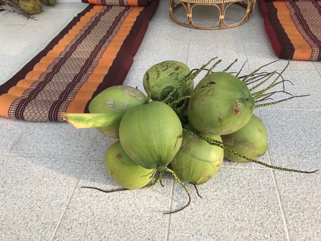 Living with The Spirit-清迈必去景点