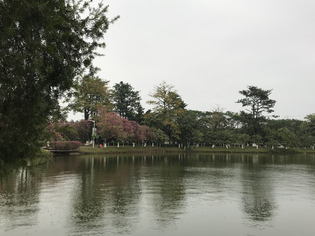 松山湖公园景点图片