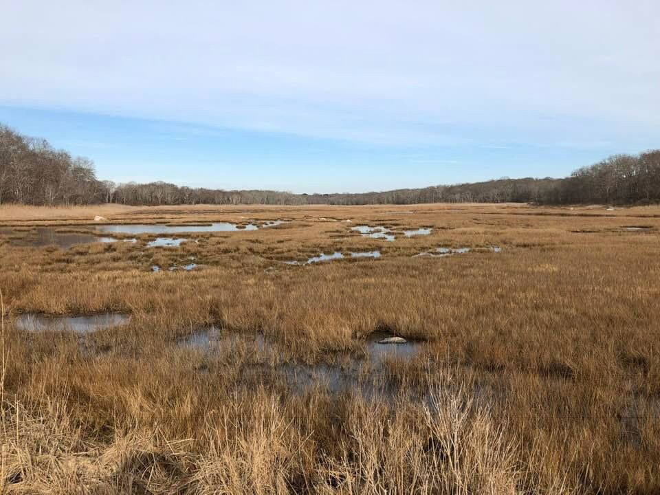 Barn Island Wildlife Management Area-Pawcatuck必去景点