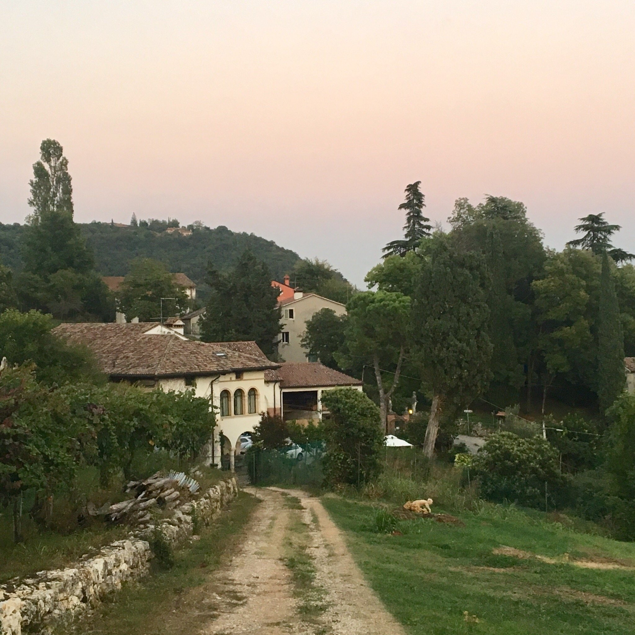 Fattoria Le Vegre-官方