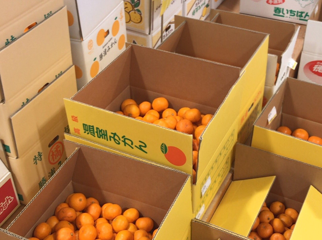 Yottene Market-胜浦町必去景点
